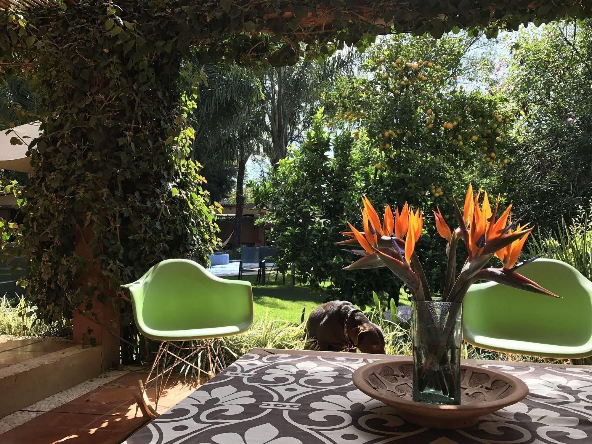 La Joya Del Viento Bed & Breakfast Valle de Bravo Eksteriør bilde